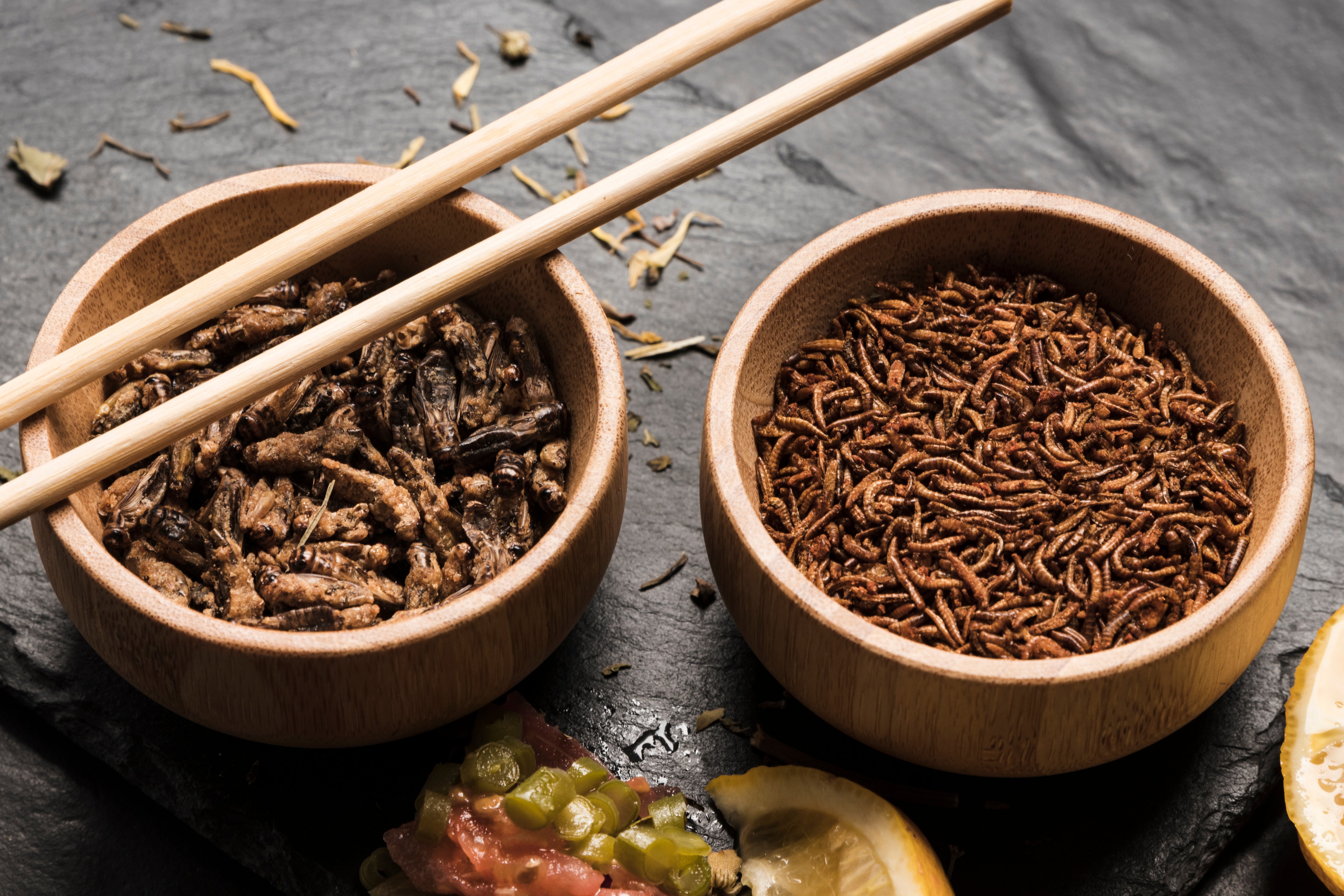 close-view-edible-insects-with-sticks