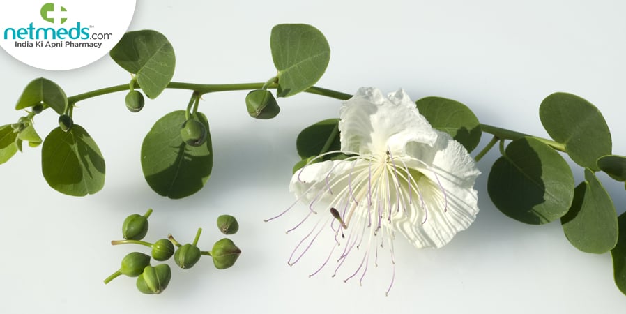 Himsra Flower