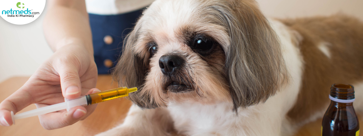 Healthier-And-Longer_1200x450