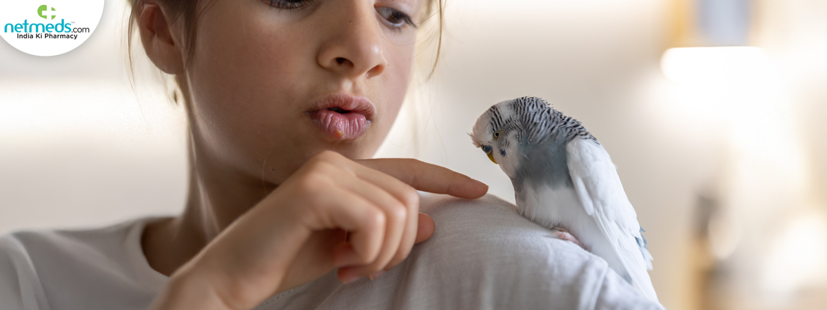 ue-budgie-pets_1200x450