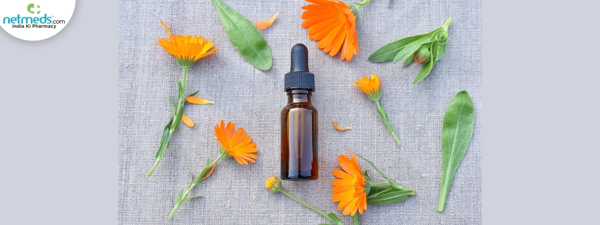 arnica extract