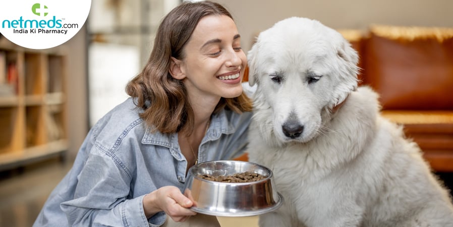 Feeding Dog