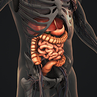 Gastric Function Test: Why Is It Done? Test Types, Results And Disadvantages