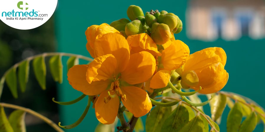 Kasmard health benefits