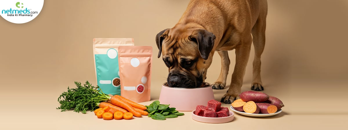 Pet_1200x450