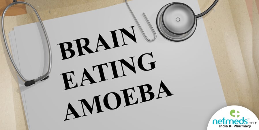amoeba