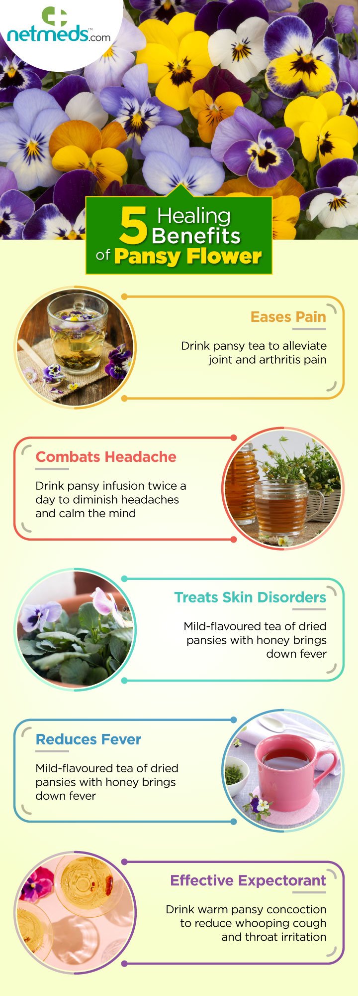 5 Healing Benefits Of Pansy