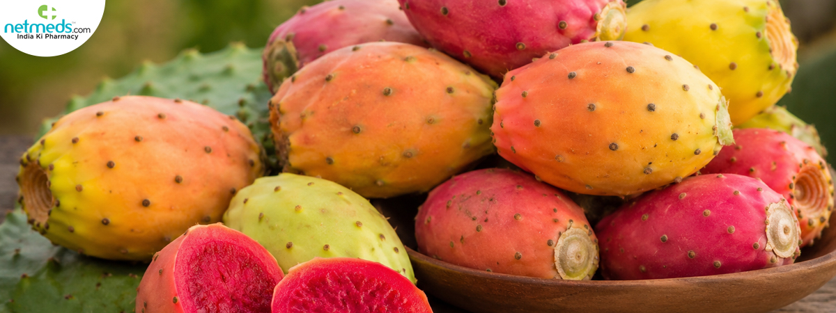 Prickly-pear_1200x450