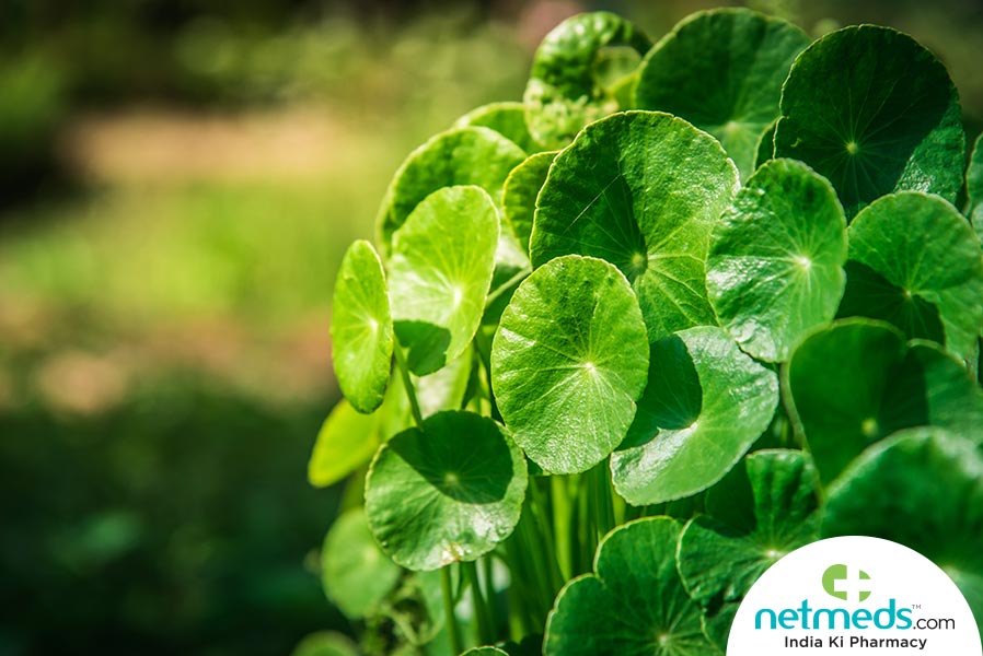 vallarai keerai health benefits