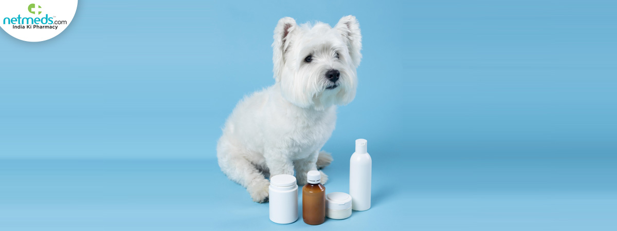 puppy-isolated_1200x450