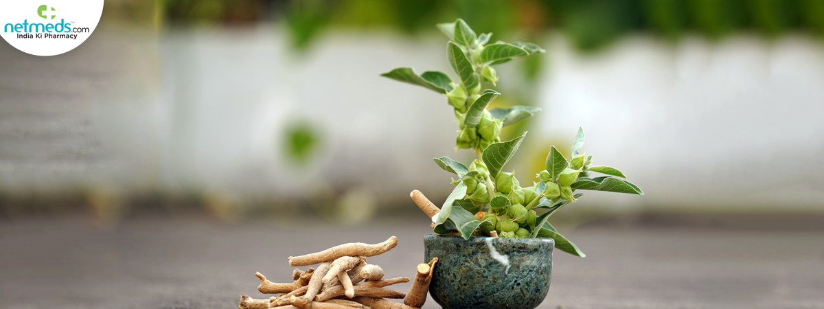 ashwagandha_1200x450