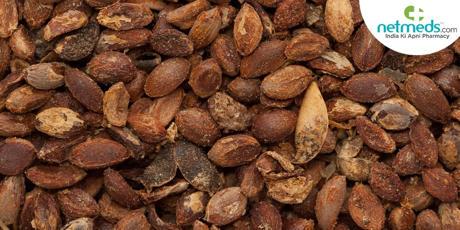 Malkangani seeds