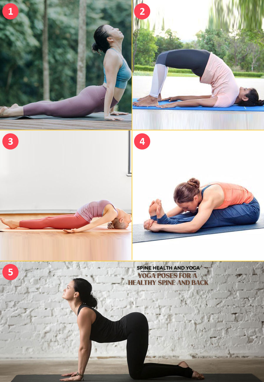 Yoga-collage_898x898