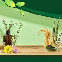 5 Must-Try Herbs: Boost Your Health, Immunity, And Heal Naturally - Infographic