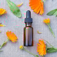 Arnica Extract for Beauty: Uses, Benefits, and How to Use for Skin & Hair