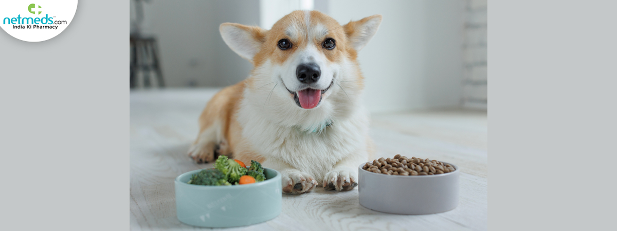 Pet-protein_1200x450