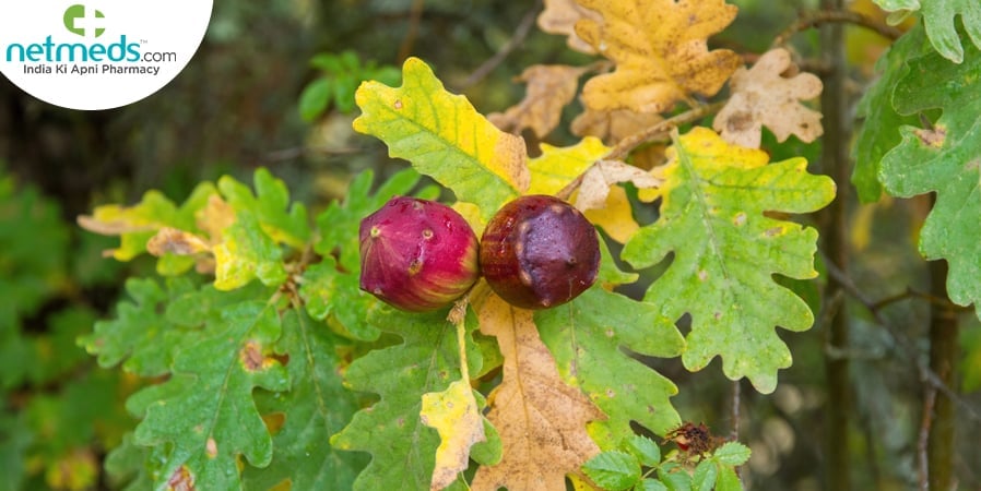 Majuphal Health Benefits