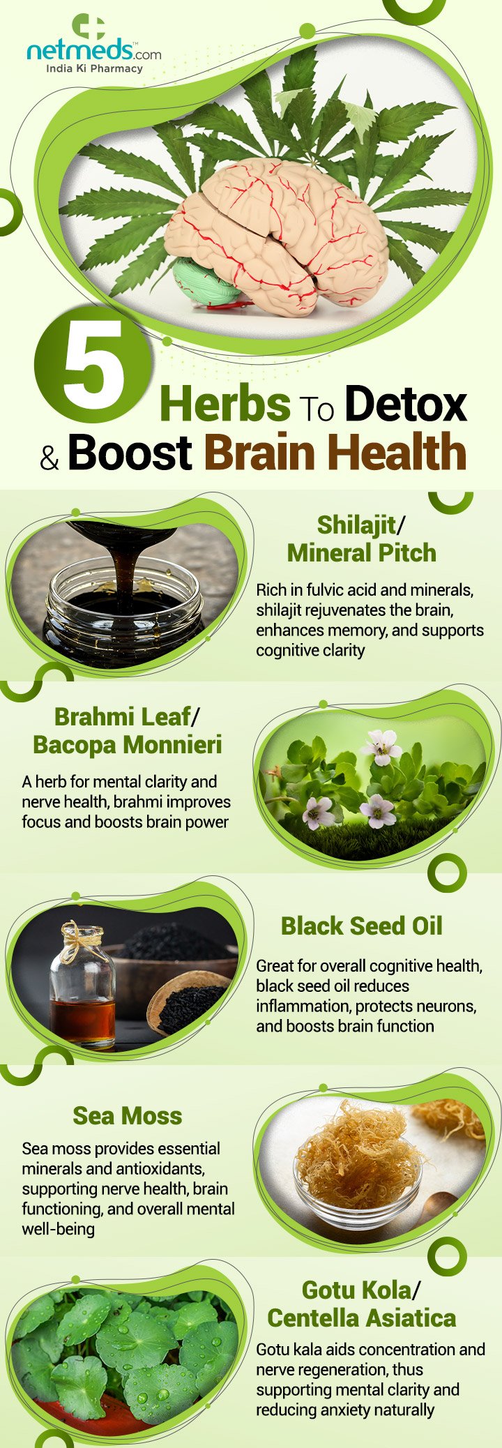 5-Herbs-To-Detox-And-Boost-Brain-Health (1)