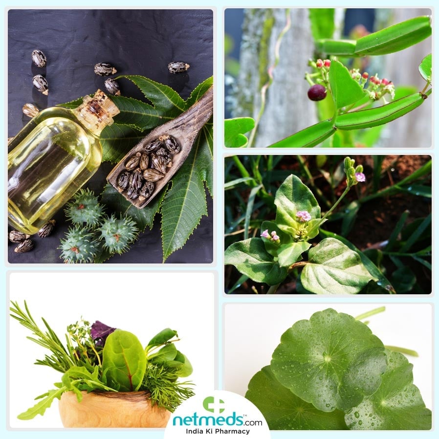 ayurveda herbal remedies for rheumatoid arthritis