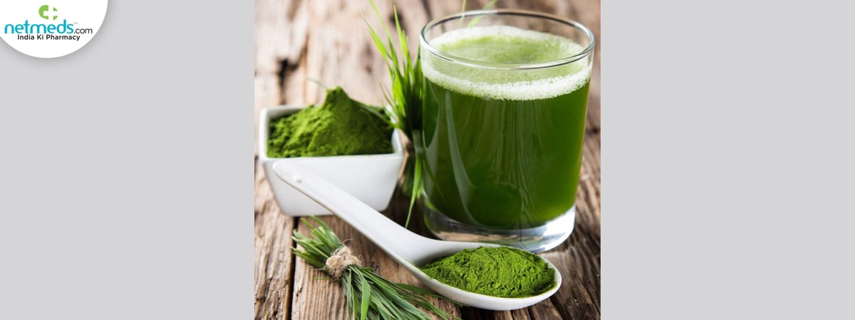 wheatgrass-big-2_1200x450