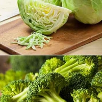 Cabbage, Broccoli Could Help Prevent Colon Cancer: Study