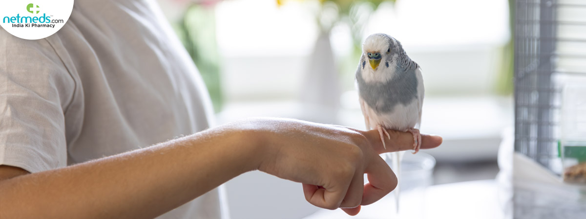 budgie-pets_1200x450