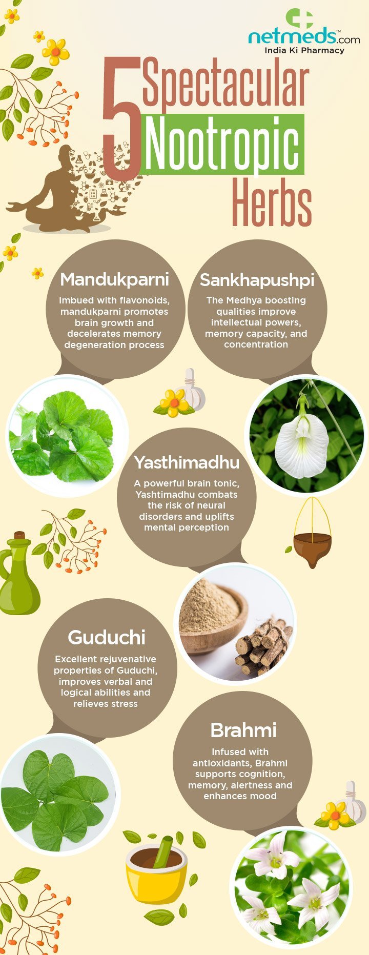 Spectacular Nootropics Herbs