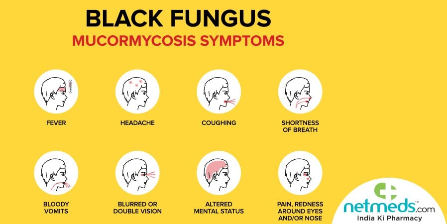 fungus