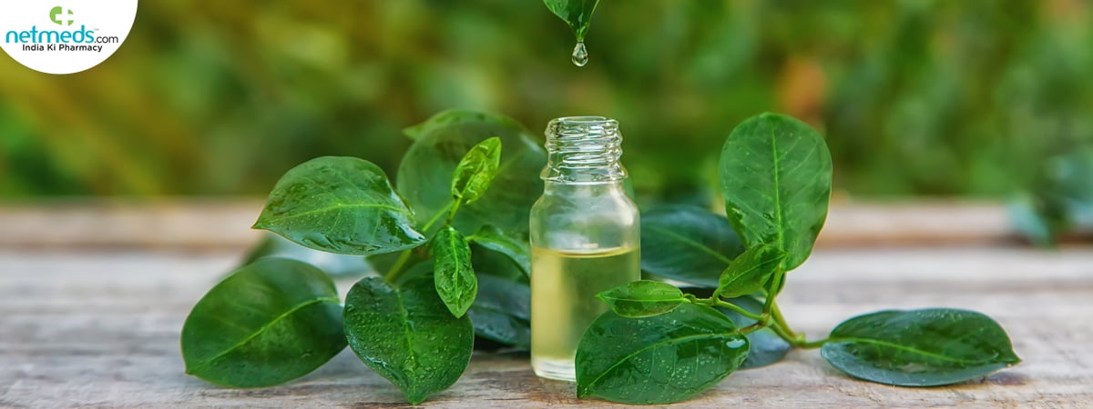 tea-tree-oil_1200x450