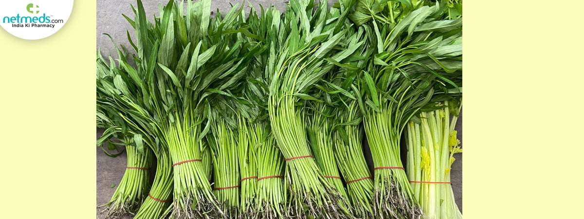 Water Spinach Plant