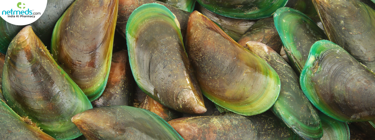 mussels_1200x450