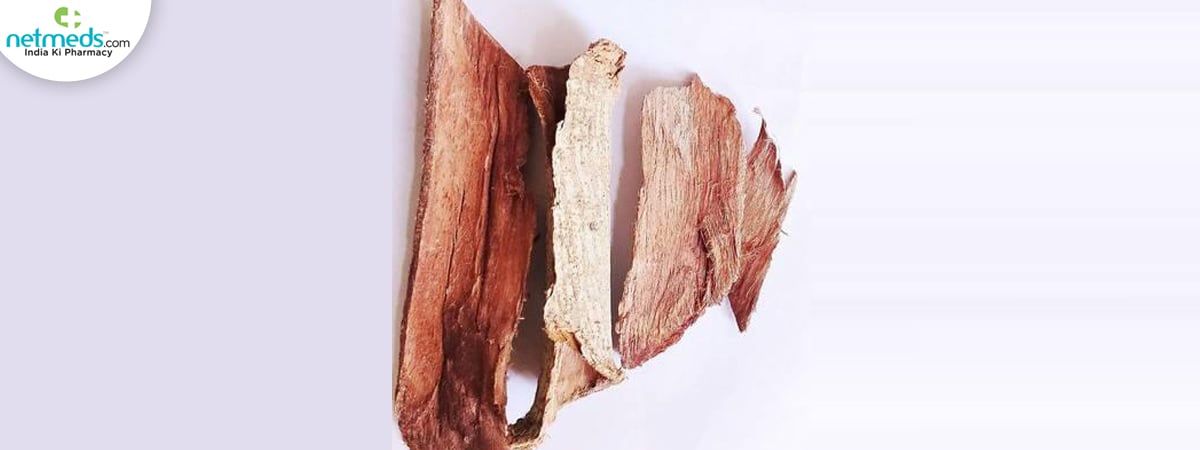 rohitaka-big-2_1200x450