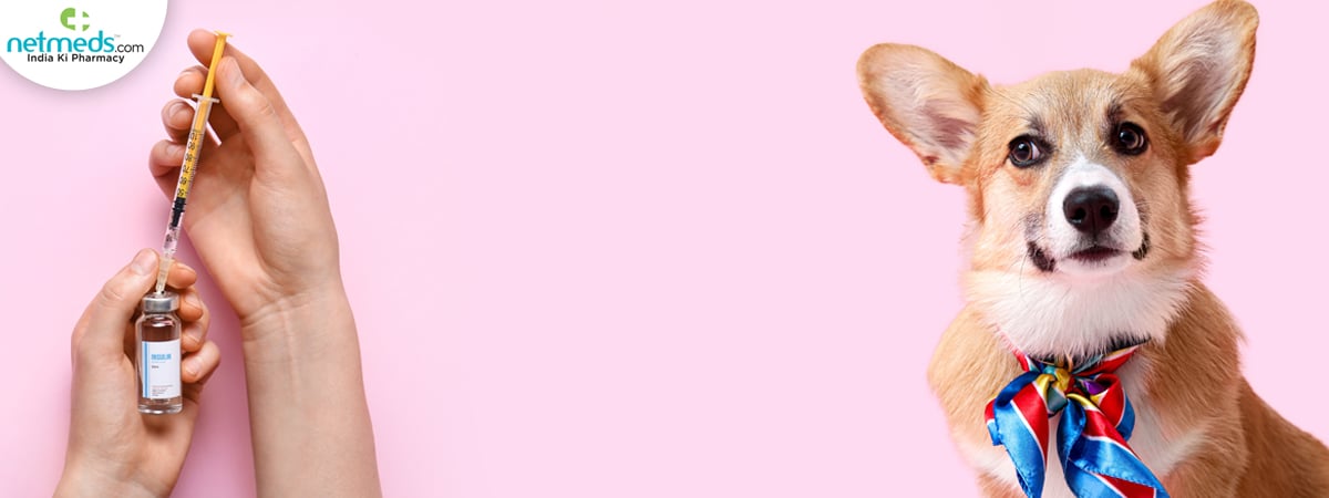 Inulin-for-Dogs_1200x450