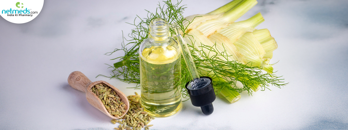 Fennel_1200x450 (2)