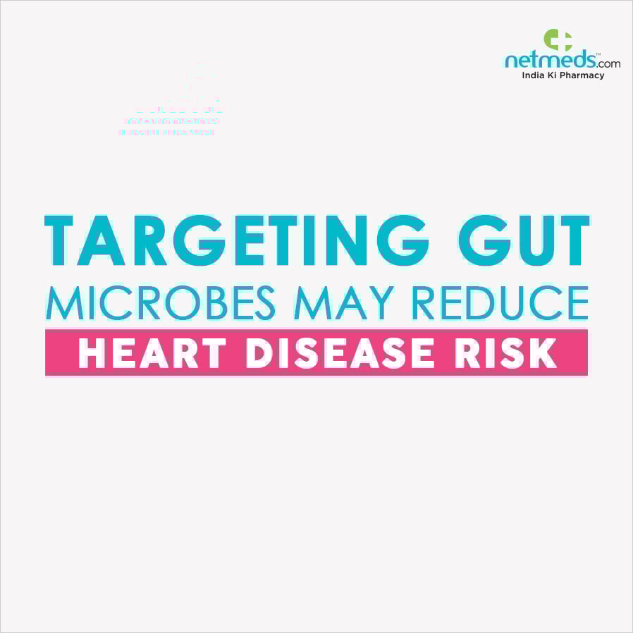 Targeting gut microbes may reduce heart disease risk