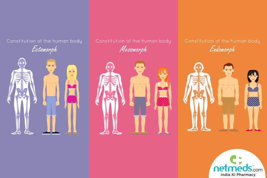 Ectomorph body type