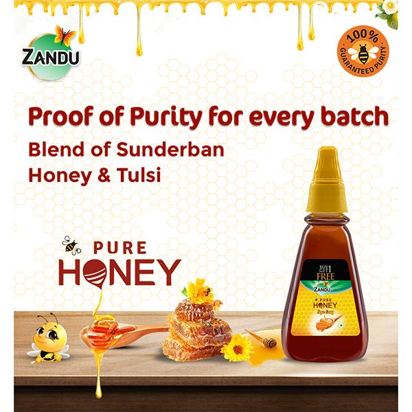 Zandu Pure Honey Squ-Easy (Pack of 2 x 400 gm) - Honey