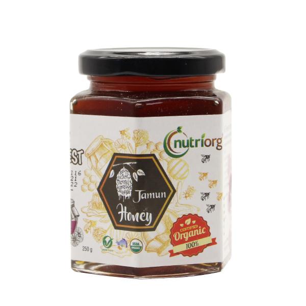 Nutriorg Certified Organic Jamun Honey 250 gm - Honey