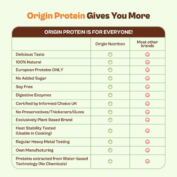Origin Nutrition Vegan Protein Powder - Strawberry Flavour 290 g - Whey Proteins