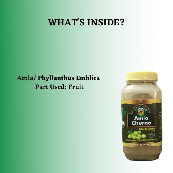 HASS Amla Churna (Pack of 2 x 250 gm) 1's - Speciality Medicines