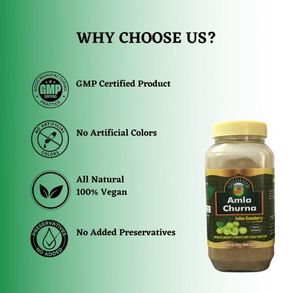 HASS Amla Churna (Pack of 2 x 250 gm) 1's - Speciality Medicines