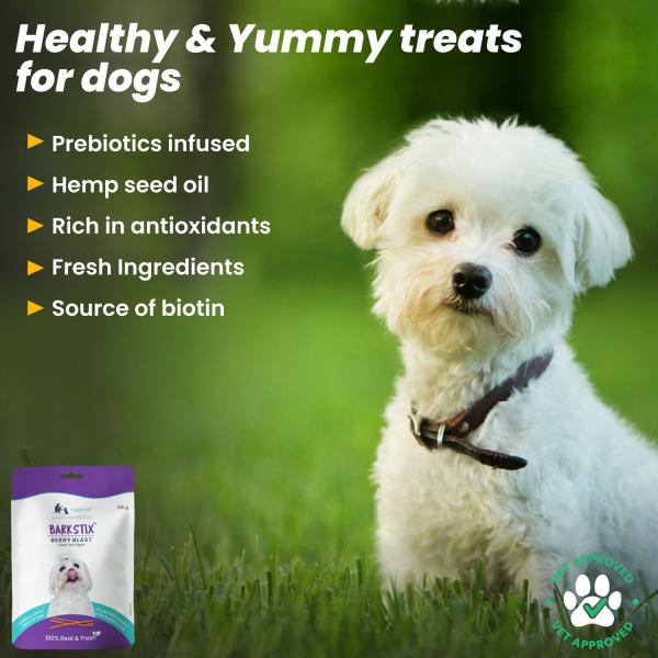 Wiggles Barkstix Dog Treats Berry Blast (Pack of 2*100gm) 1's - Petfood