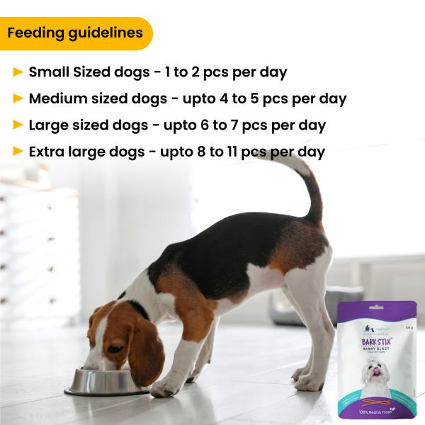 Wiggles Barkstix Dog Treats Berry Blast (Pack of 2*100gm) 1's - Petfood