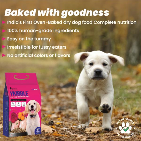 Wiggles Ykibble Puppy Food Dry Small Dogs Starter 900 gm - Petfood