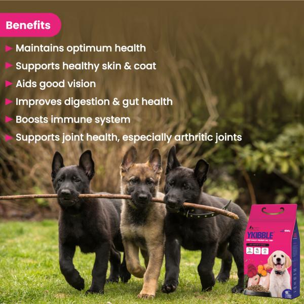 Wiggles Ykibble Puppy Food Dry Small Dogs Starter 900 gm - Petfood