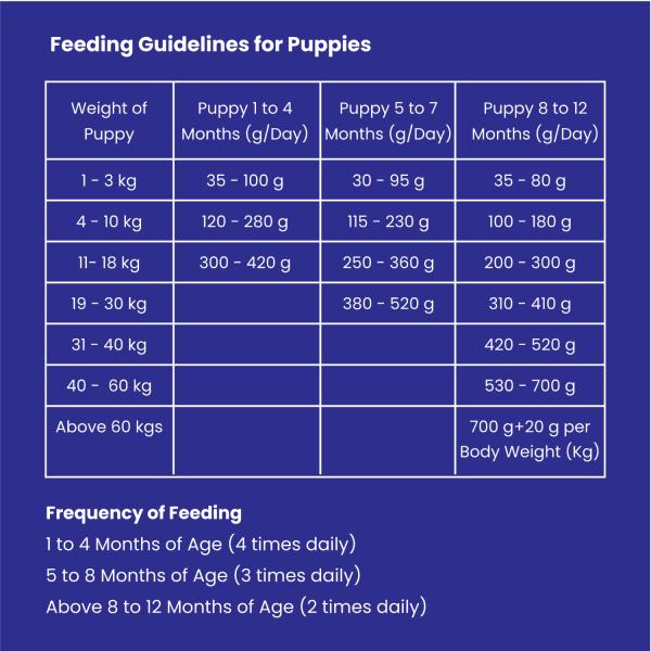 Wiggles Ykibble Puppy Food Dry Small Dogs Starter 900 gm - Petfood