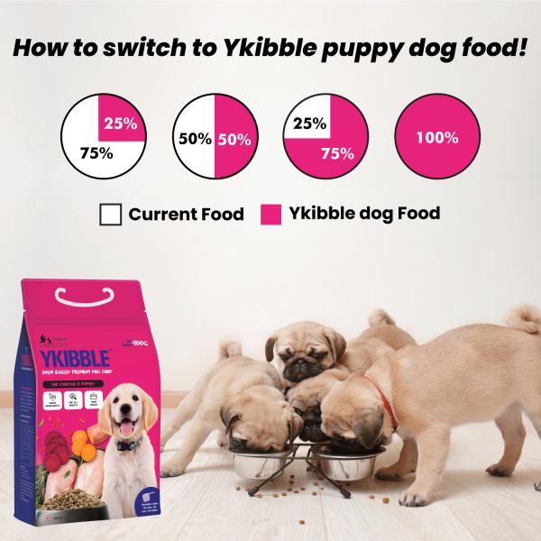 Wiggles Ykibble Puppy Food Dry Small Dogs Starter 900 gm - Petfood