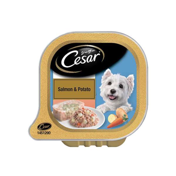 Cesar Adult Dog Food - Salmon & Potato 100 gm - Petfood
