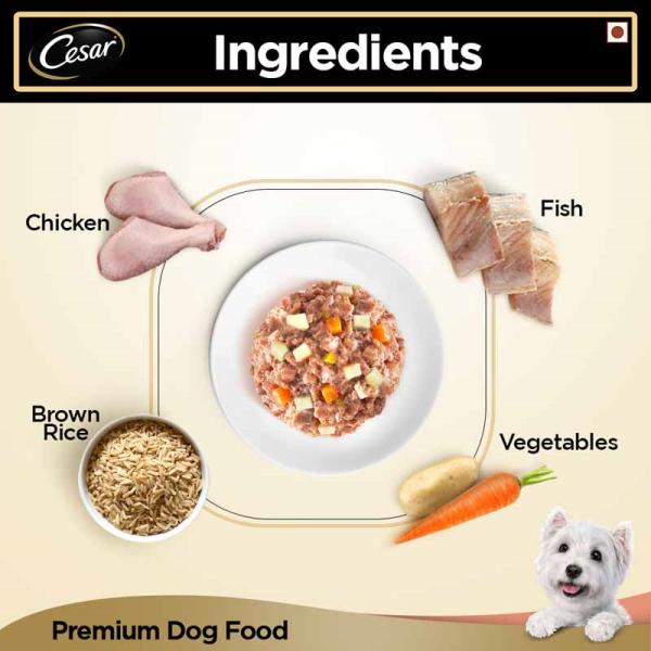 Cesar Adult Dog Food - Salmon & Potato (Pack of 24 x 100 gm) 1's - Petfood