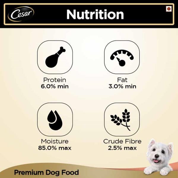 Cesar Adult Dog Food - Salmon & Potato (Pack of 24 x 100 gm) 1's - Petfood